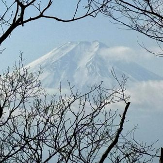 あちこちから🗻✨