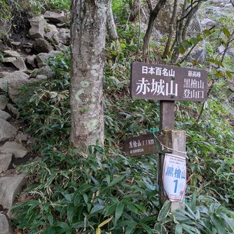 下山口　岩くだり凄かった。道迷い注意⚠️