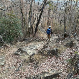 岩場な道を下ります
その先には登山口、ゴールが見えて、カミさんも「ゴールだー！」と走ってました💦