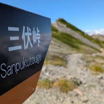 三伏峠につながる道