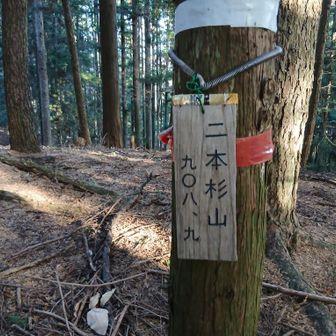 二本杉山