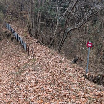 ここは気をつけないと間違えますね。