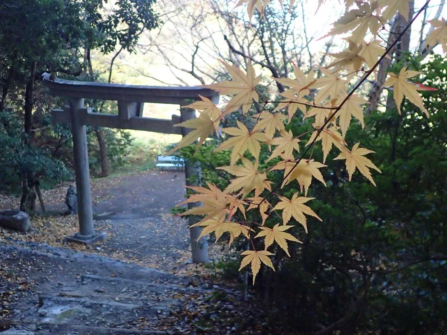 黄色が良い感じ😊