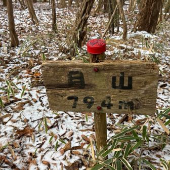 月山⋃ヽ(°▹｡ )ﾄｯﾀﾄﾞｰ!!