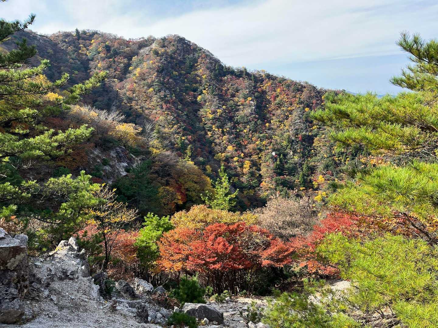 三池岳登山口-三池岳-八風峠 周回コースの写真