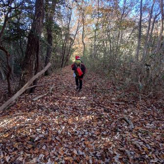 っと言ってる間に置いてかれる。