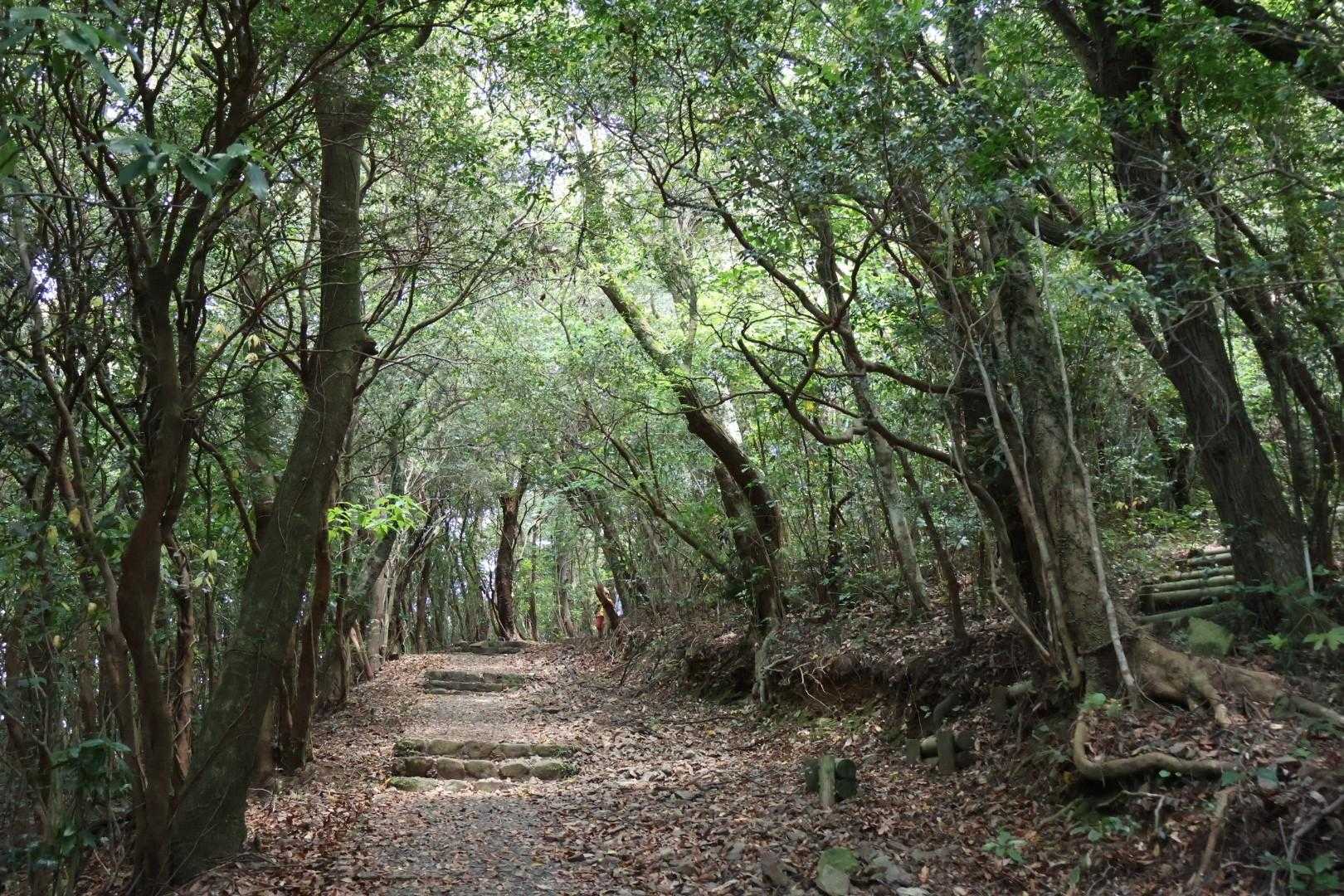 登山っぽい😊