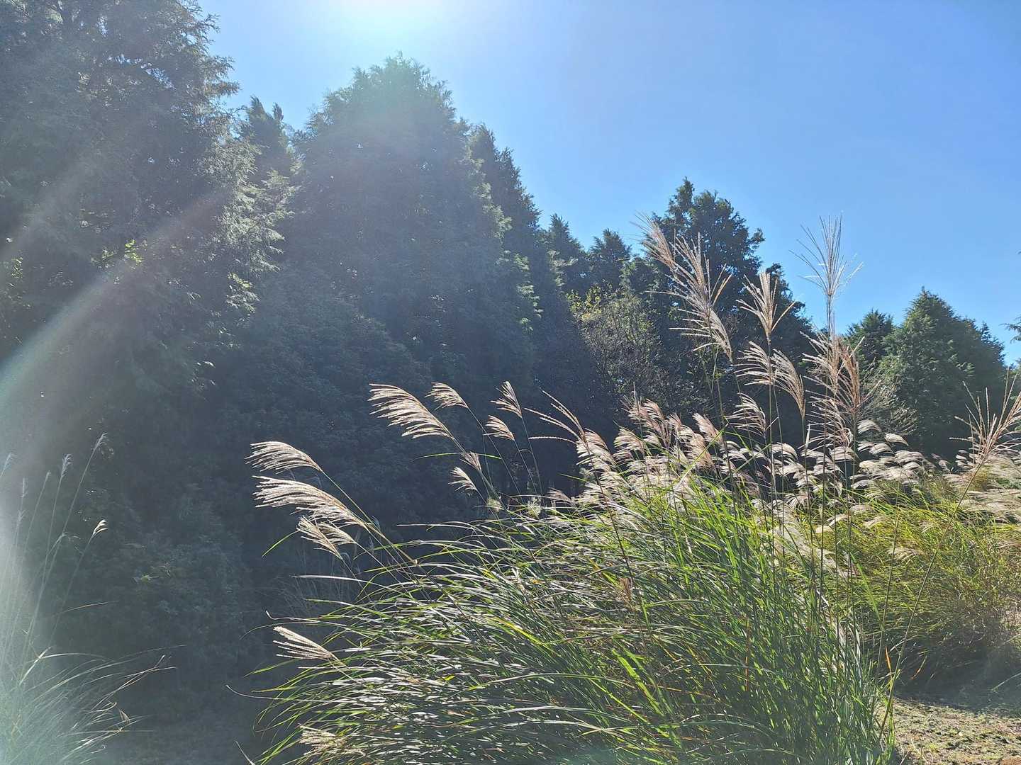 秋〜🌾✨