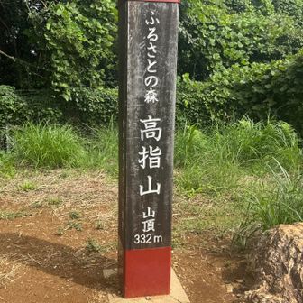 視界良ければ富士山も