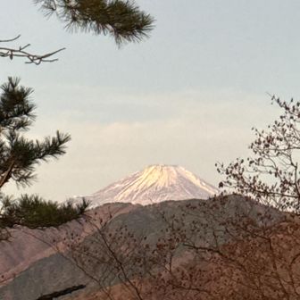 本日初めての富士山｡