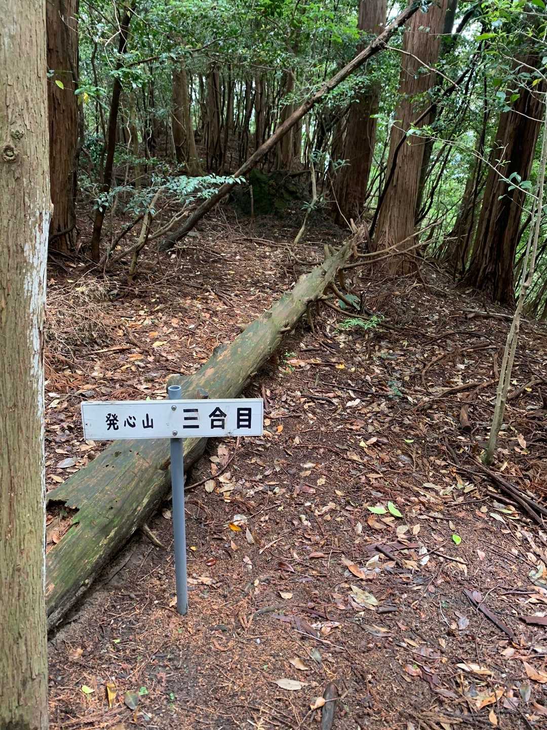 もう半分は来たよね ｾﾞｪｾﾞｪと
思ってる時に現れるショッキングな看板