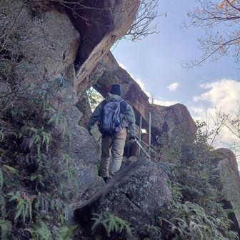 上りは参道ではなく遊歩道コースで。