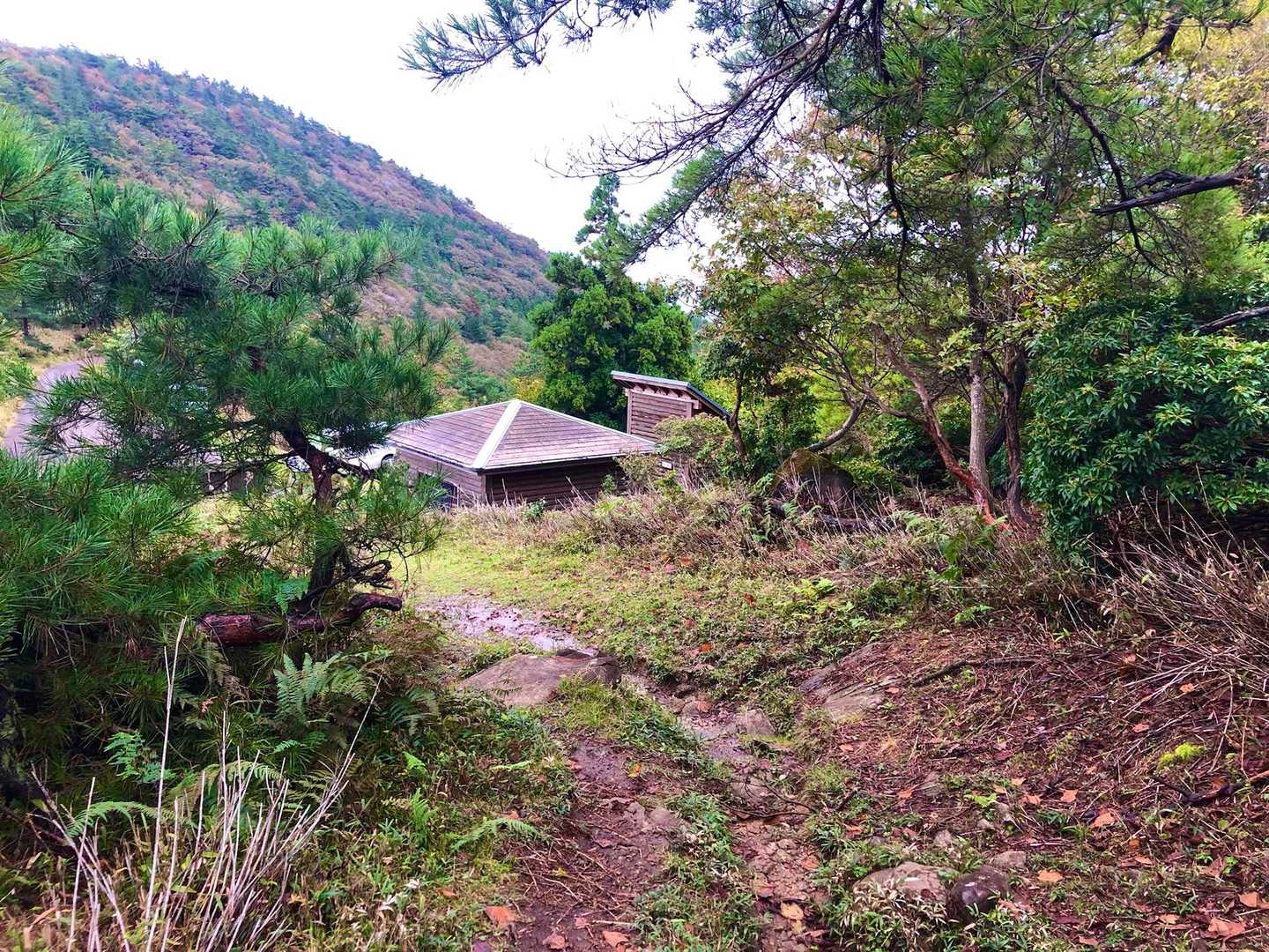 駐車場まで下山して来ました↘️

終始登山道が綺麗に整備されてて 歩き易かったです🚶 

昨日もですけど 初めてのお山でハイカーさんとすれ違うことなく 一人で歩いてると 何となく心細くなってきます😟
自然と平坦な所は早足になって歩いてる自分がいてます🚶
熊🐻の存在を気にしなくてよかったら そうでもないんですけどね

最後までご覧いただきありがとうございました😊