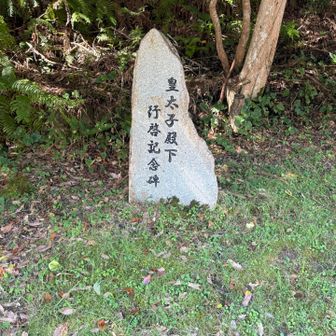 皇太子とは今の天皇陛下か
