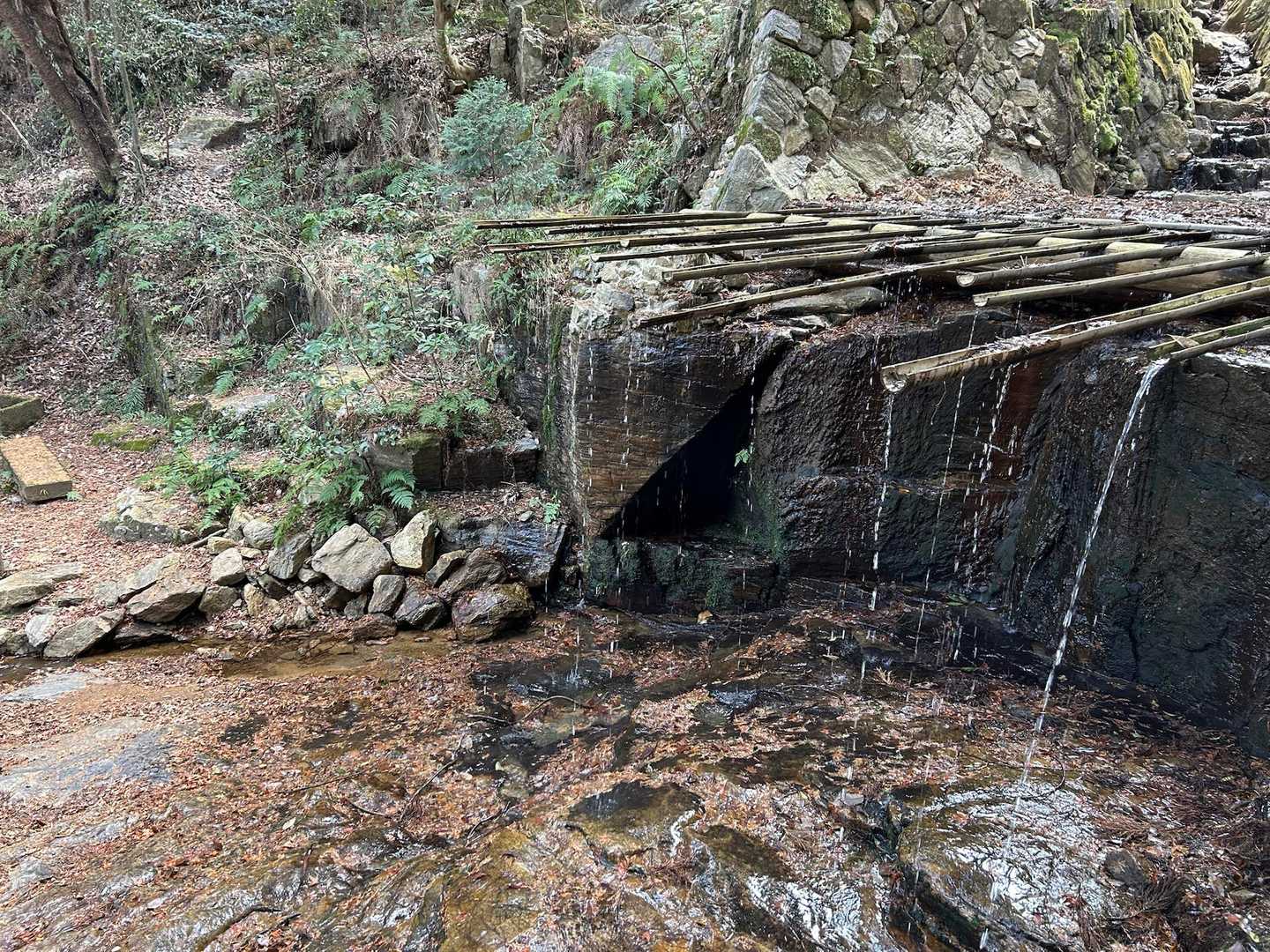 茶臼山-イナバ山 往復コースの写真