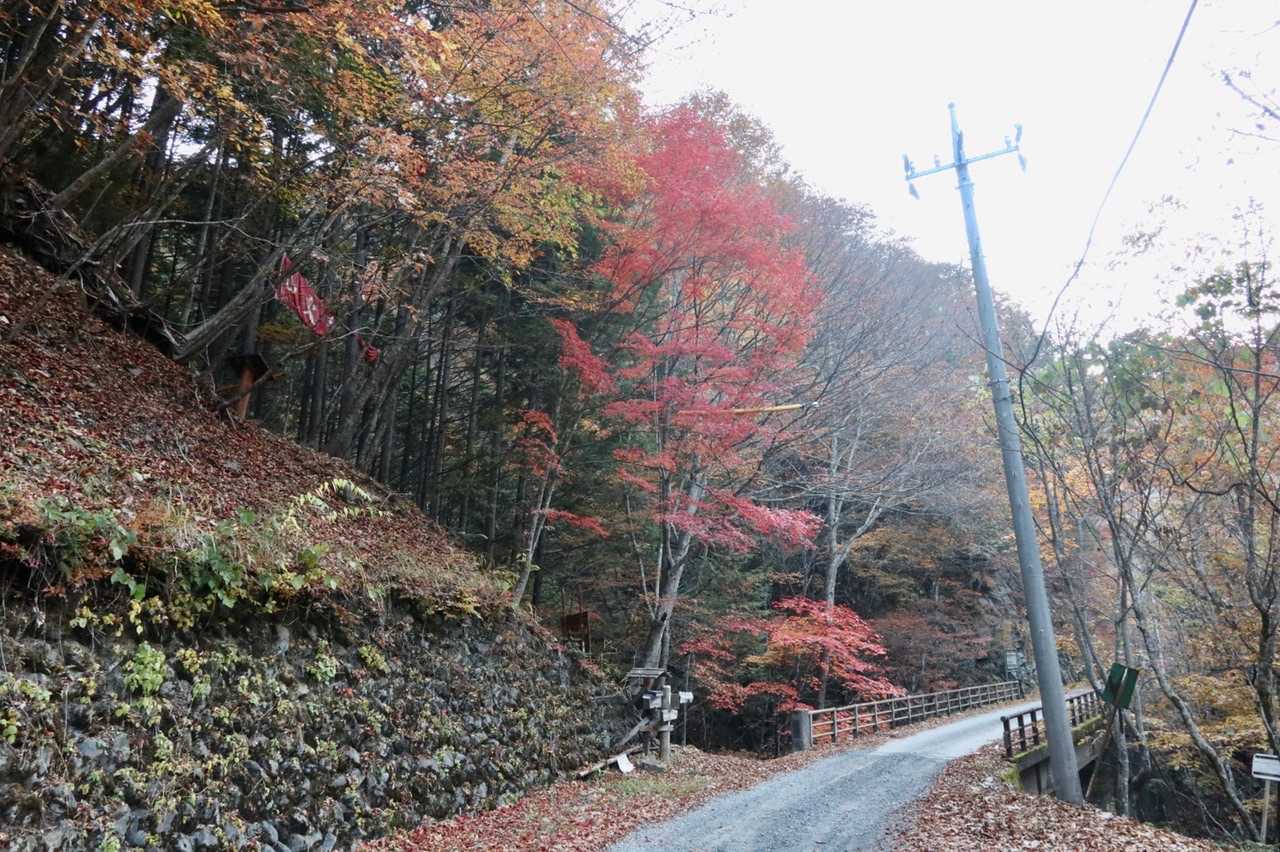 鎌倉橋から沢沿いに登ります