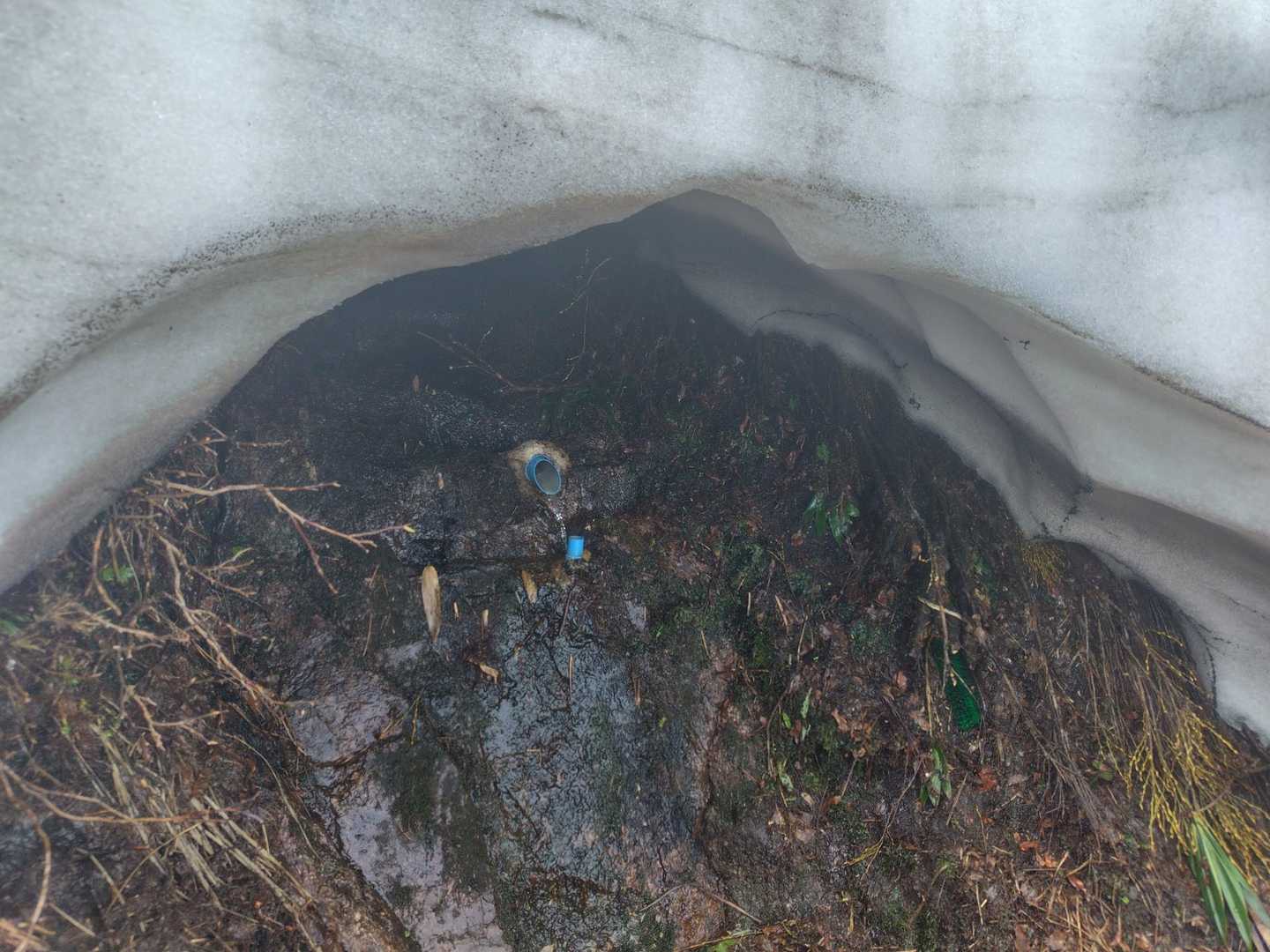 八合目水場は掘られてました