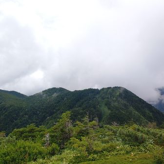 山頂より
