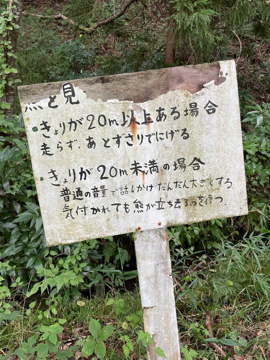 熊🐻と出会ったら…