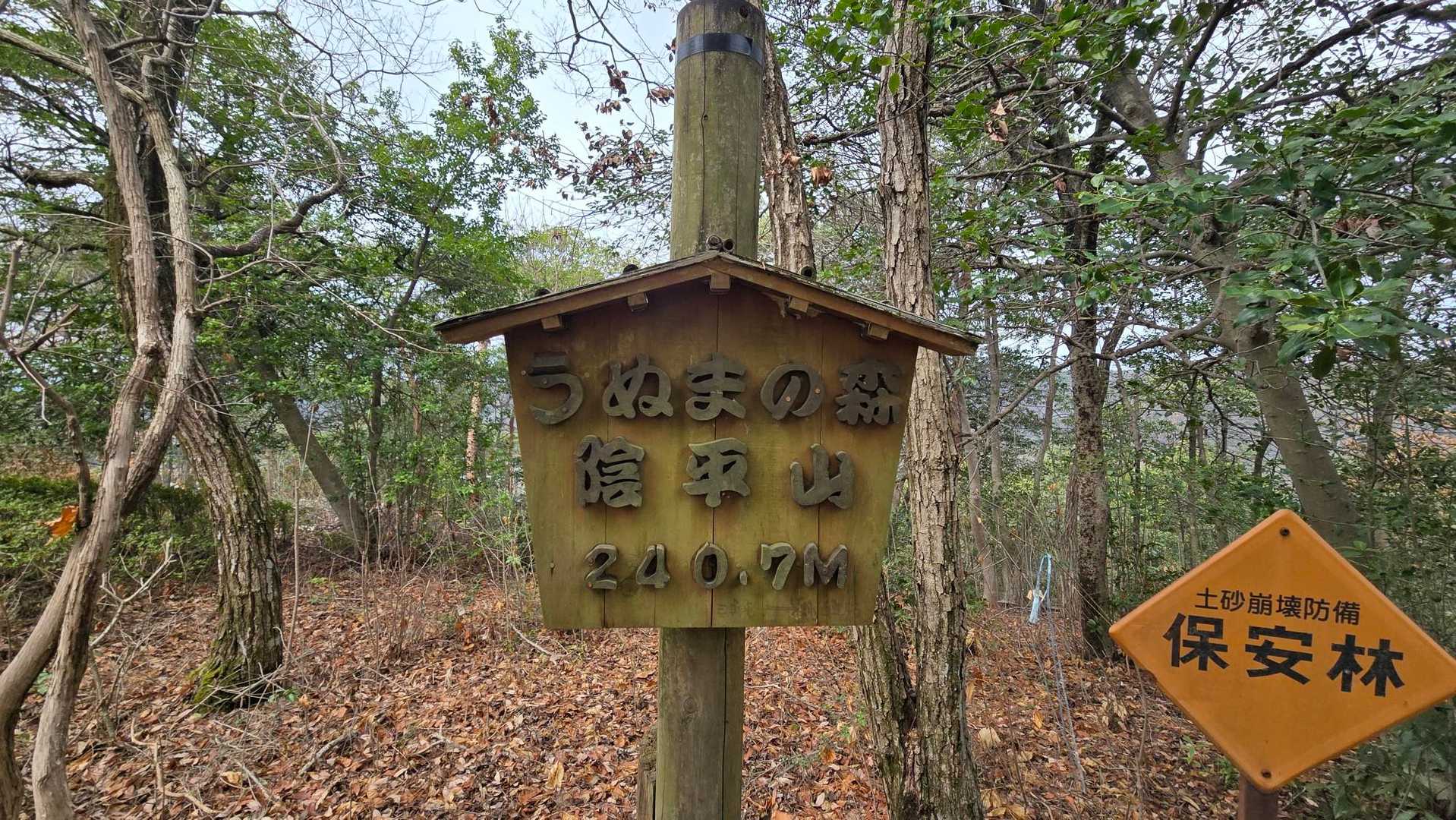 陰平山 周回コースの写真
