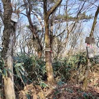 登頂〜🙌 なんか残念な山頂