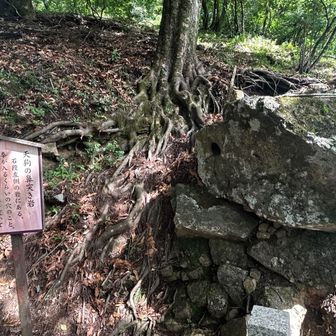 左脇の穴に天狗👺が鼻を刺した岩。そんなかわいいことする？