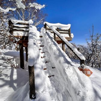 展望台へ。行きは良いよい、帰りは怖い♪
スノーシューで階段下るのが大変だった😅