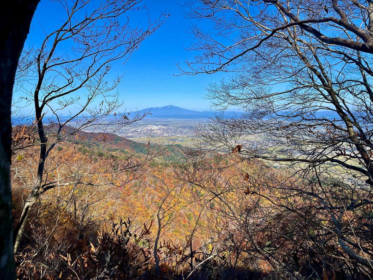 🍂🍂