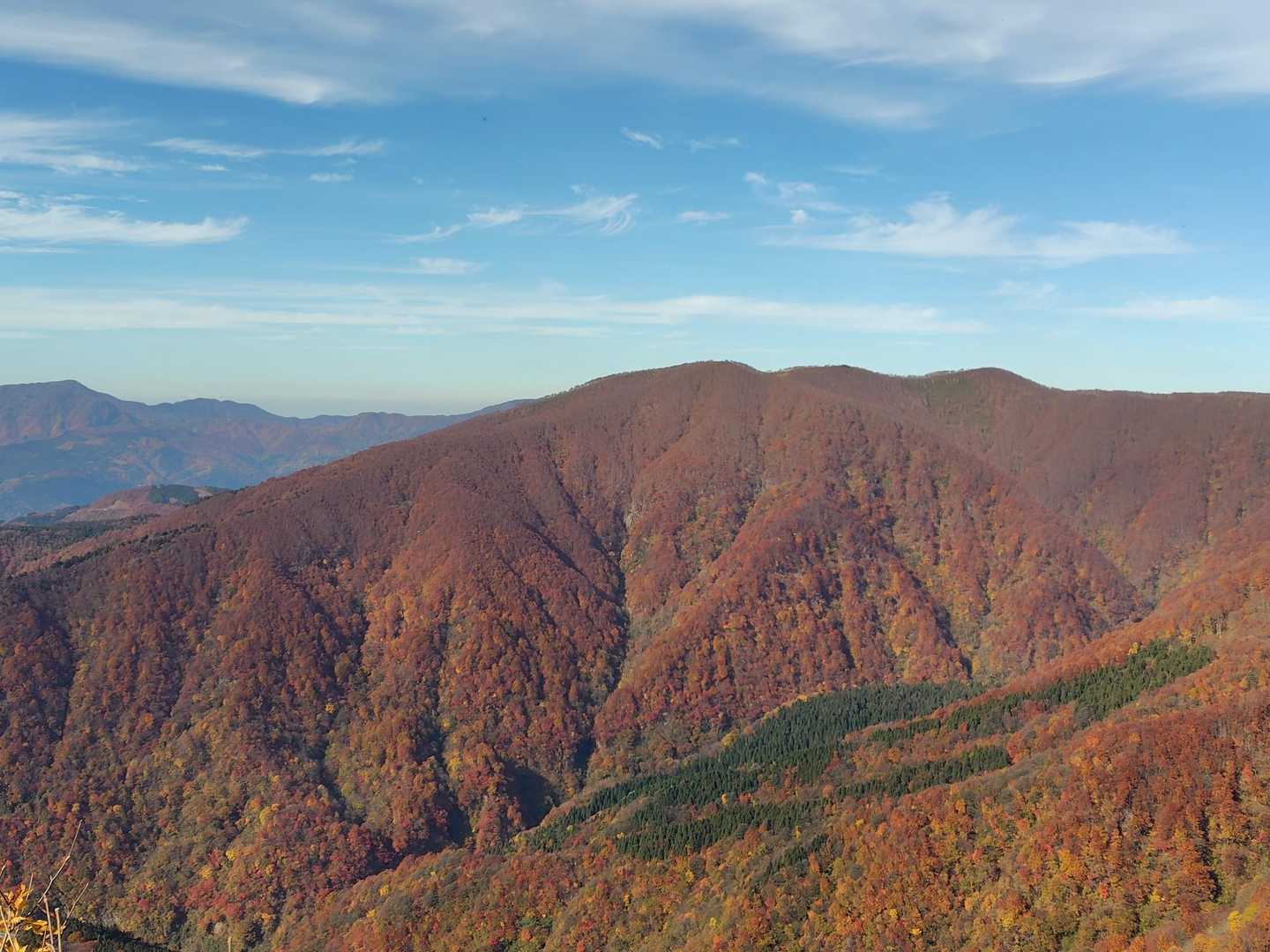 三角山-広域林道登山口-保月山-釈氏ヶ岳-中岳-経ヶ岳-北 周回コースの写真
