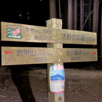 大杉の広場🌲

ここで初めて人に会う
男性グループが休憩していた

この先から、登っている最中に、遠くでドーンドーンと鳴り出した。
花火🎆が始まったらしい…