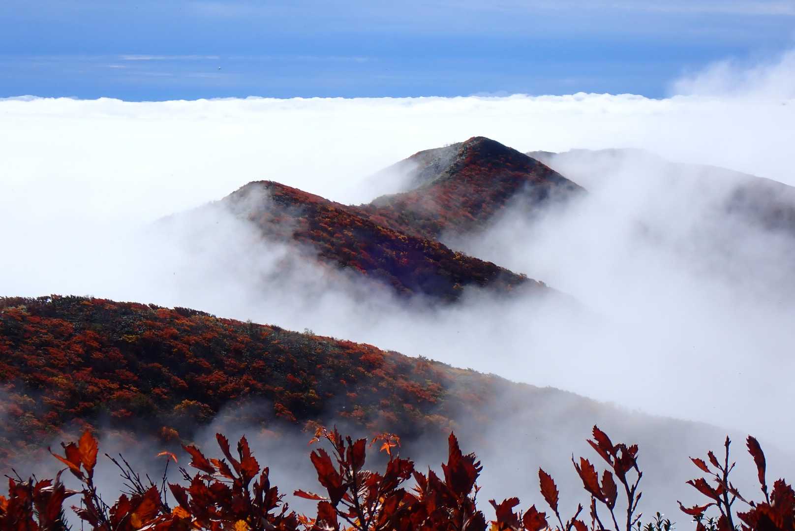 南峰の方はガスと雲海が紅葉を更に引き立たせてくれています