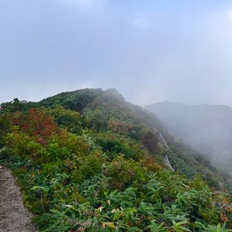 →古寺山が見える
