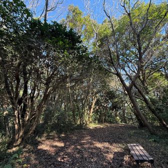 通り過ぎてしまうところに富士山の山頂標識あり　富士山が見えるかと思ってたけど眺望なし　ふむ🤔