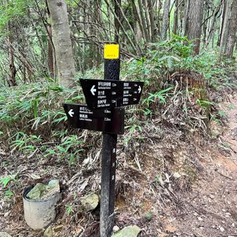 桜谷から摩耶山への登り、ちょっとここからは違う道を攻めてみました👍