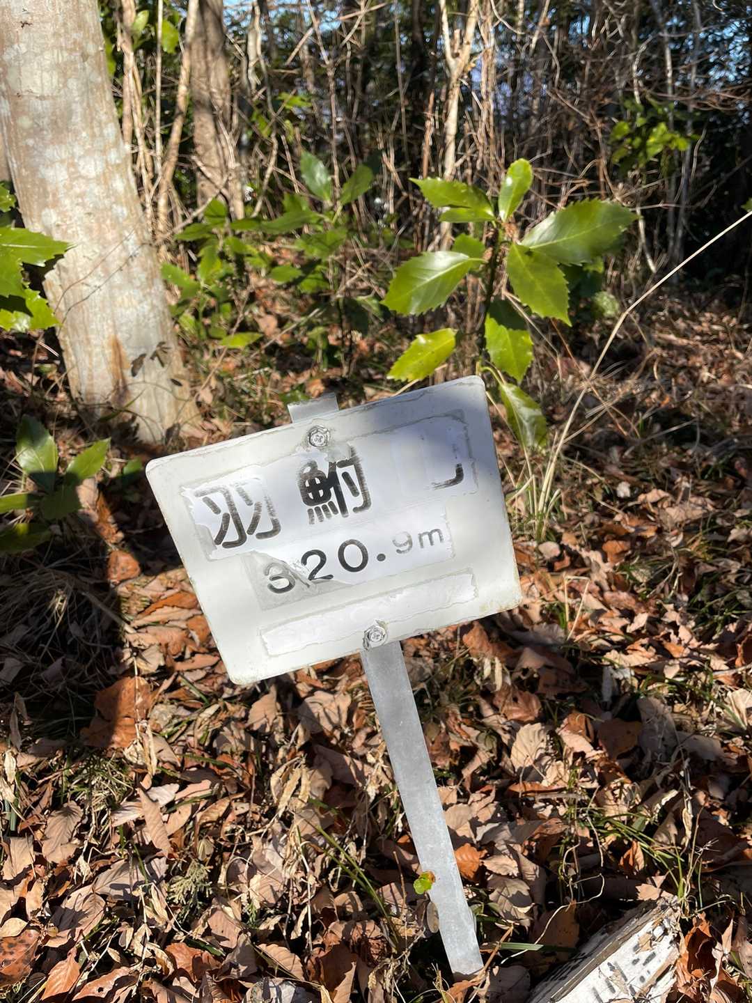 羽鮒山の写真