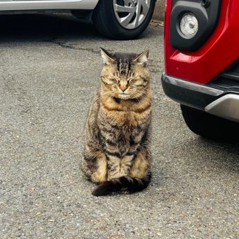 今日の主役はキミ♡