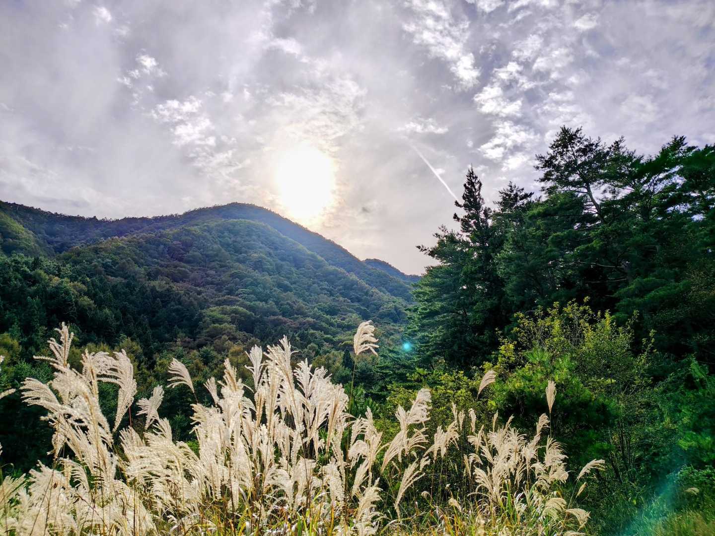 朝の登山口駐車場に到着
毛無山に日没まであと1時間
おつかれ山でした😉