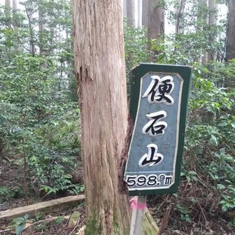 頂上は展望なし！