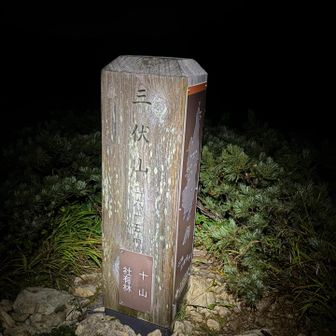三伏到着⛰️