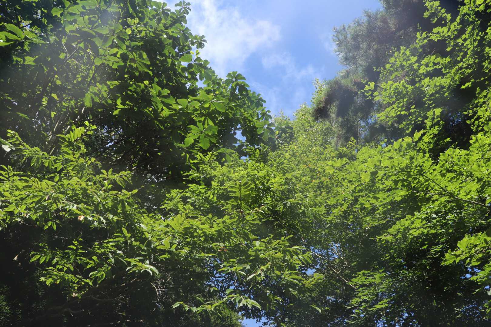 青空だなぁ…典型的な登山あるある…