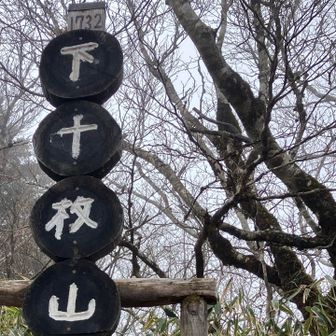 2個目のピークは1732mの下十枚山
ガスって展望なし