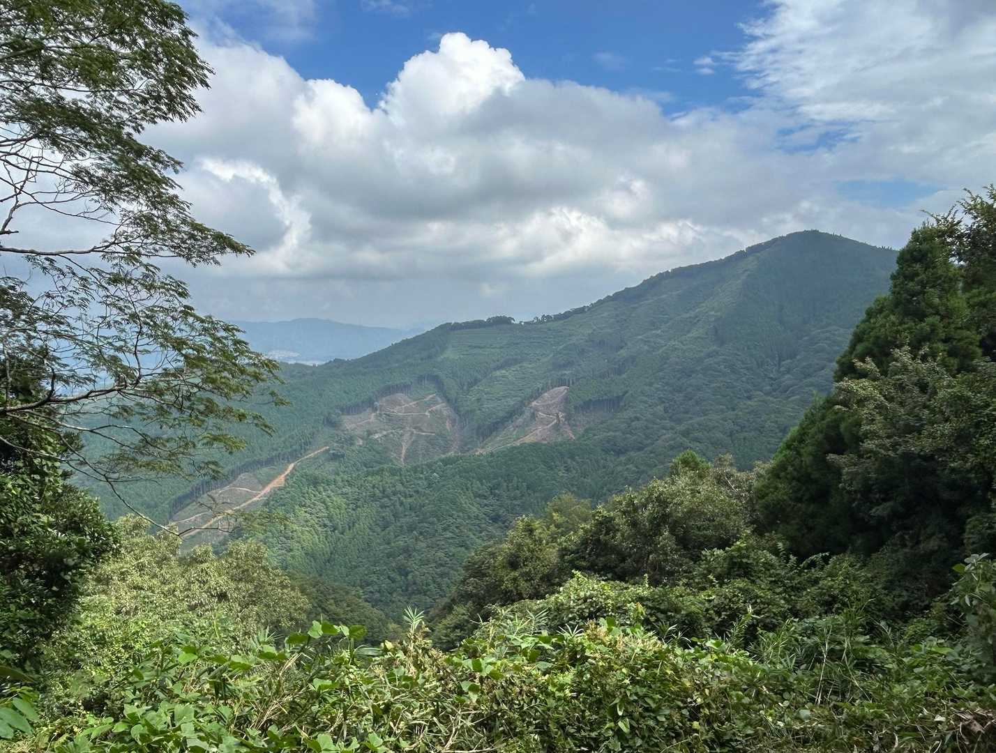 本宮山は青空や((〃´▽｀〃))/“ﾏﾀｲｷﾏ-ｽ