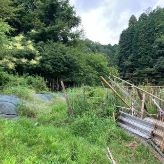 まさか‼︎ 😨
以前はルートあったのに、行けなくなってる😱