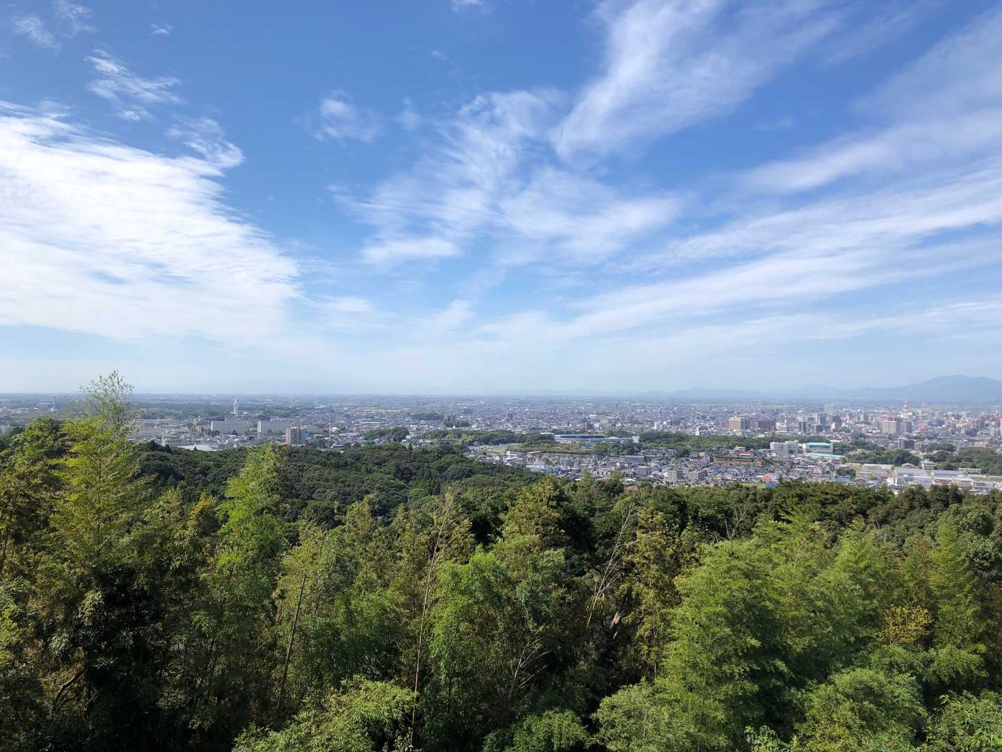 高良山往復 | 季節の草花が彩る高良大社参拝コースの写真