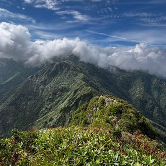 山頂に出ると一気に展望が開けます。
谷川連峰方面の山々が見え？雲で見えない🤣ここから先に伸びます。
大源太山 → 七ツ小屋山 → 蓬峠
の稜線がものすごく魅力的です🥰