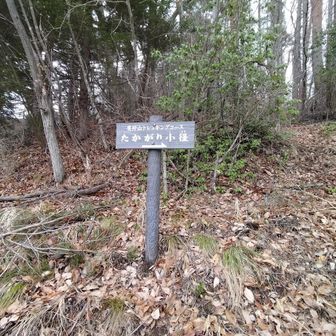 登山口は博物館駐車場入り口の少し下にありました。