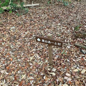 いよいよ里山あーと村に向かいます