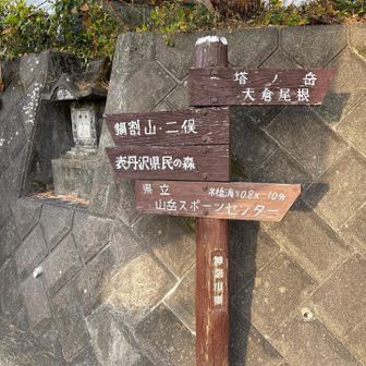 再来週は大倉尾根で小屋泊予定