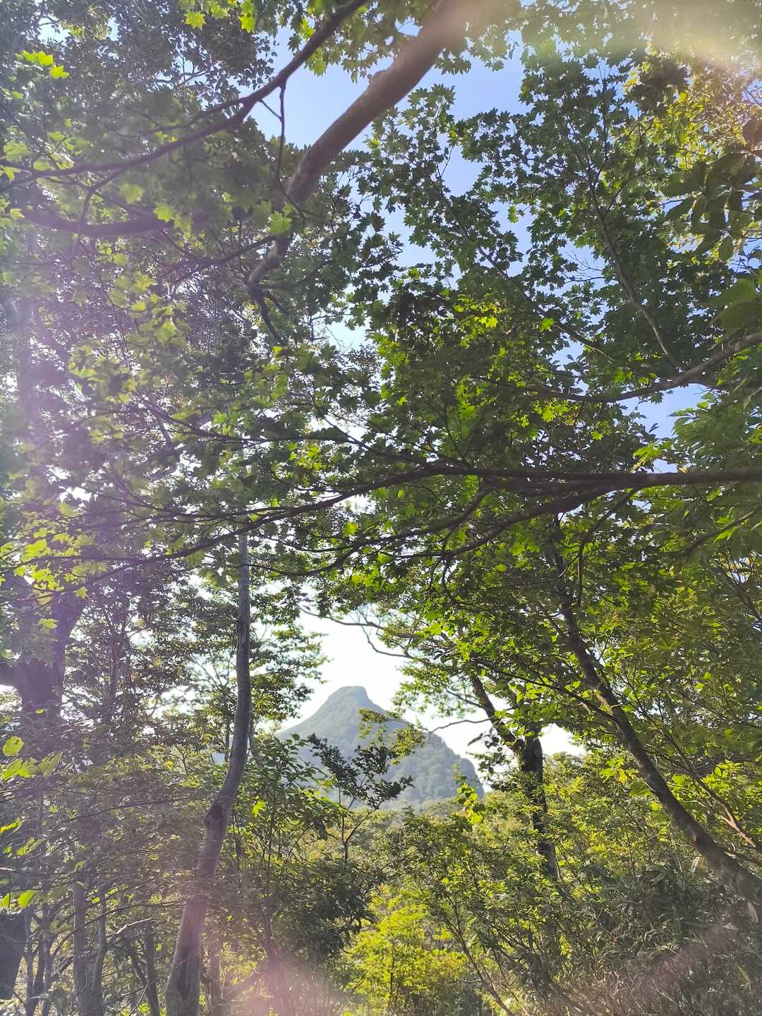 ツンツンした山ですね（笑）冠山👑直ぐ分かります◉⁠‿⁠◉