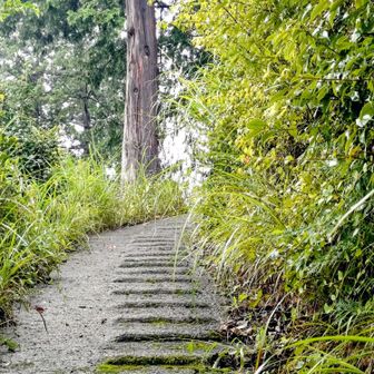 雨で滑りやすいため、コンクリに凹凸あるのは有難い